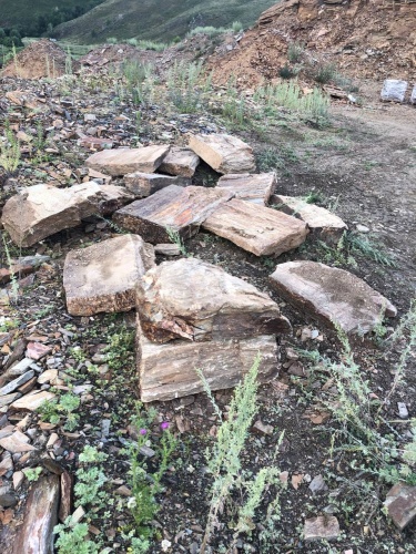 Пошаговая дорожка из плит златолит кора дерева купить в Бугульме